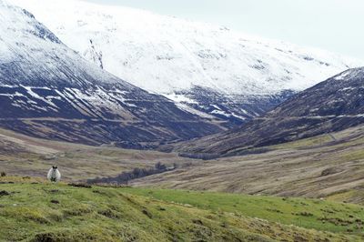 Glen Roy's parallel roads